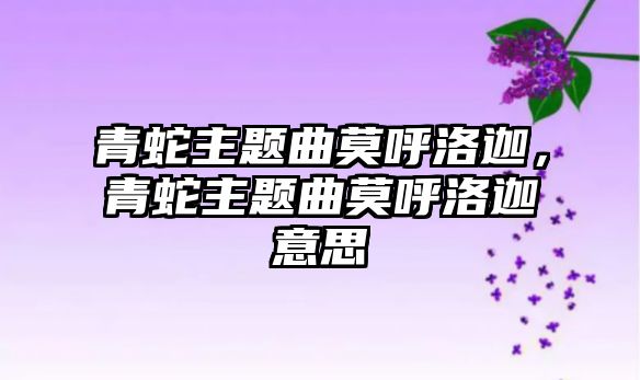 青蛇主題曲莫呼洛迦，青蛇主題曲莫呼洛迦意思